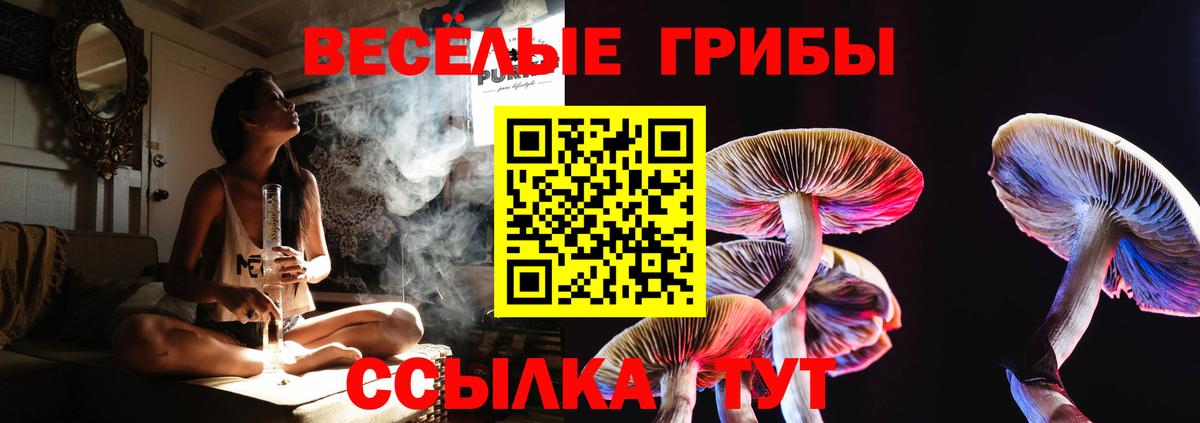 Галлюциногенные грибы MAGIC MUSHROOMS Белореченск